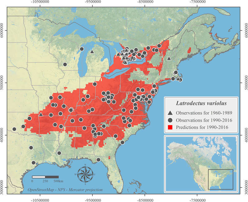 The updated species distribution map for the black widow spider in North America.